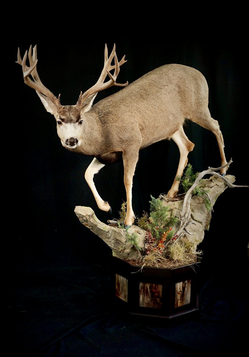 Life Size Deer
