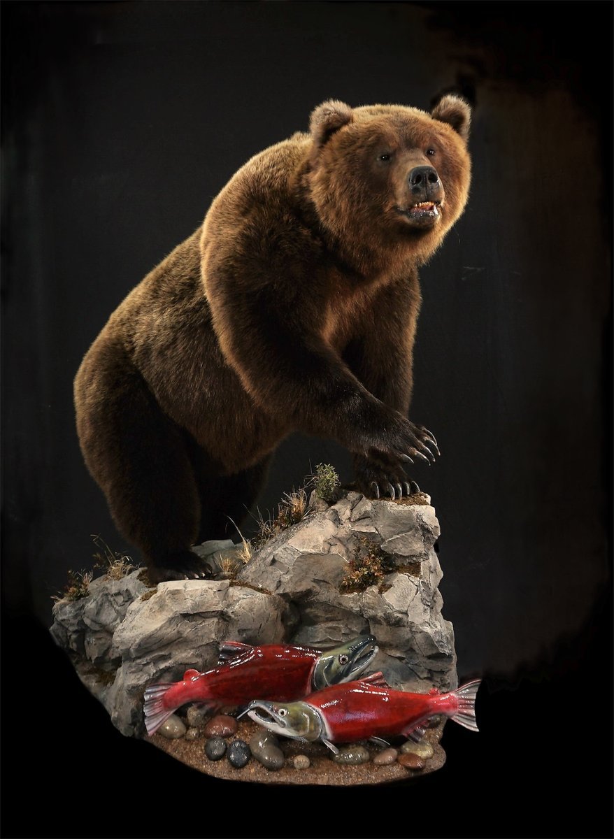 Brown Bear Lifesize