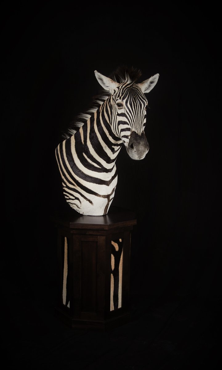 Zebra Pedestal