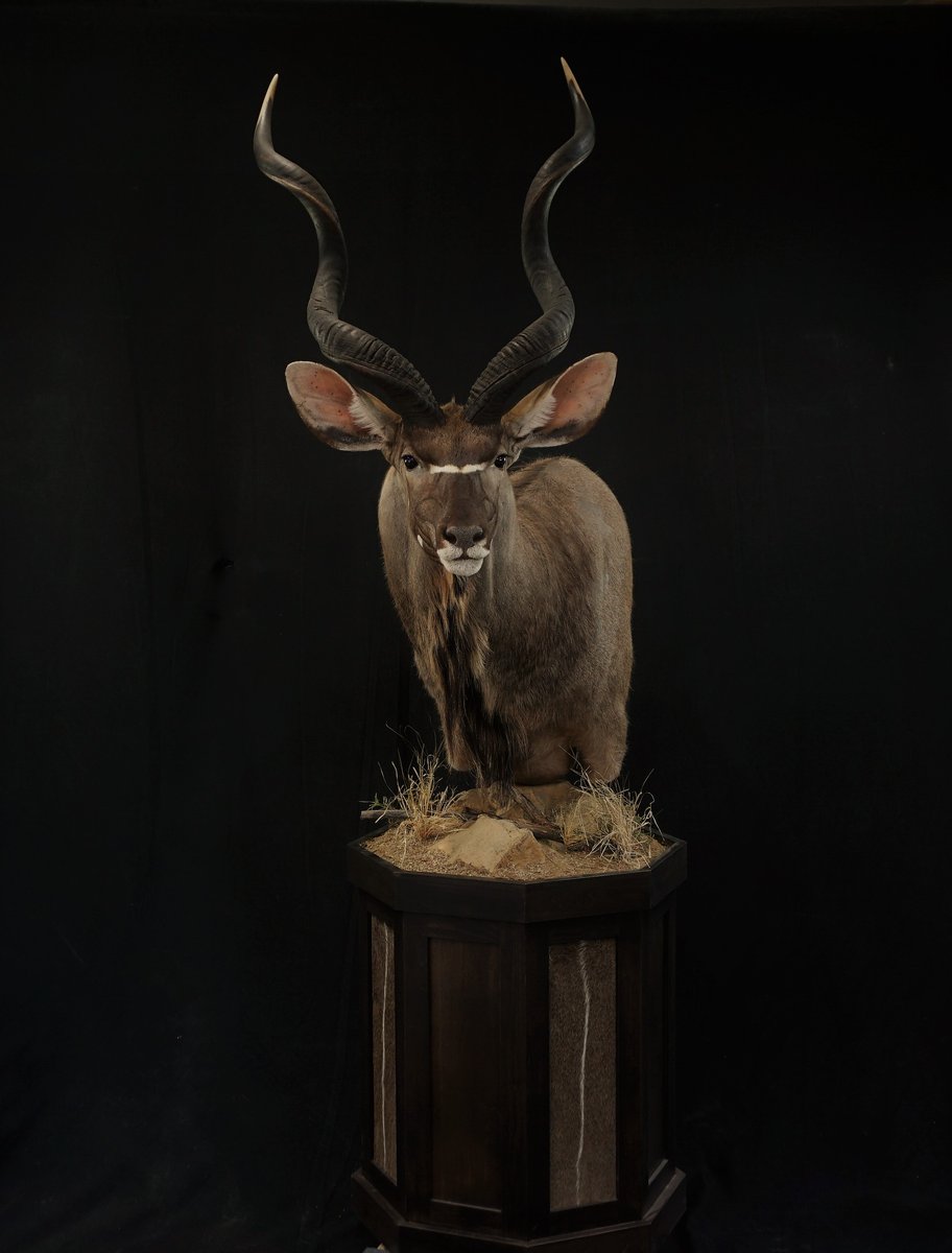 Kudu Pedestal