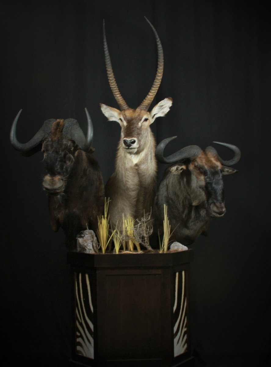 Africa Pedestal
