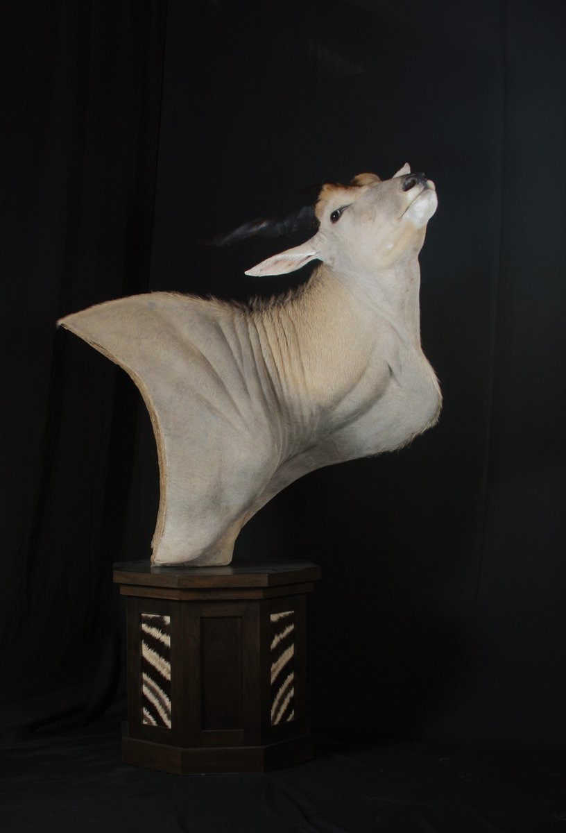 Eland Pedestal