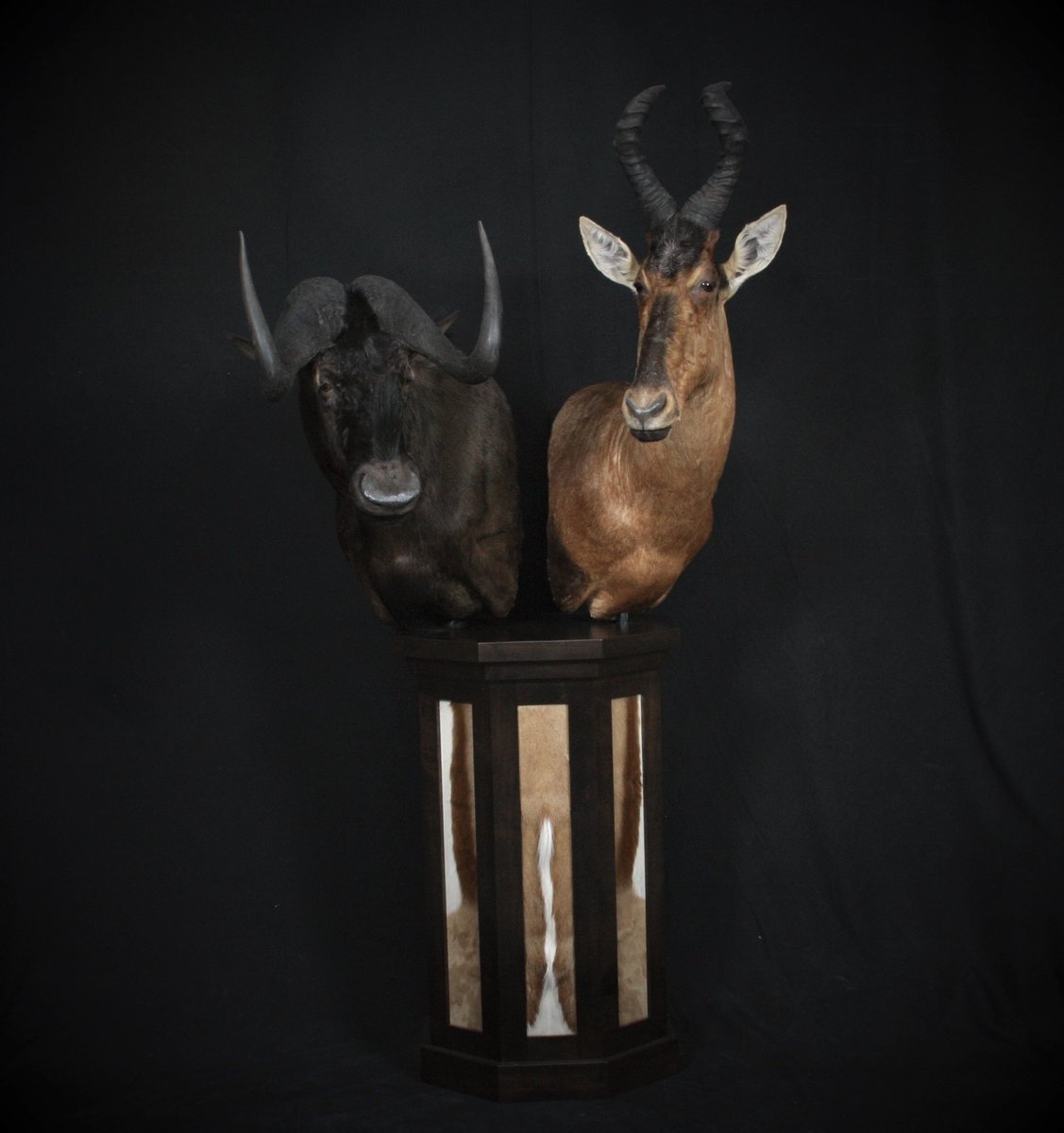 Africa Pedestal