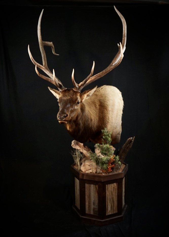 Elk Pedestal