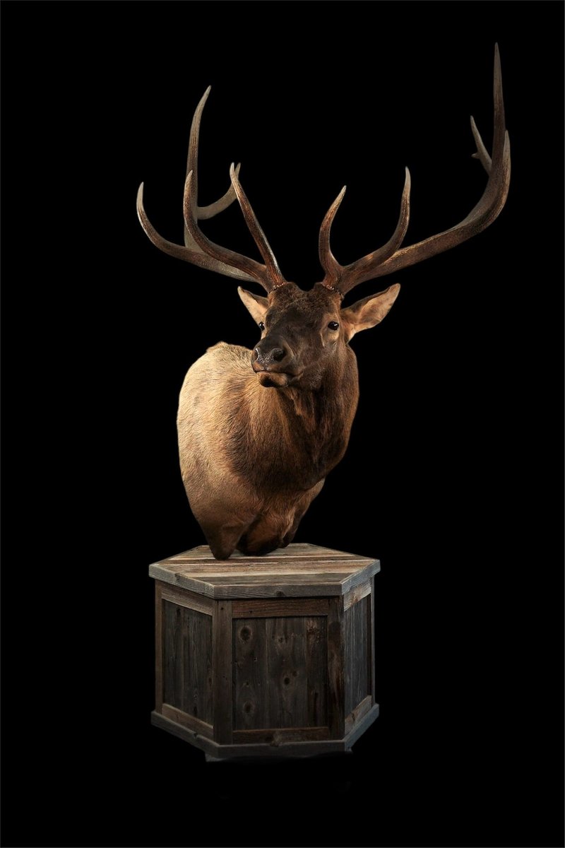 Elk Pedestal