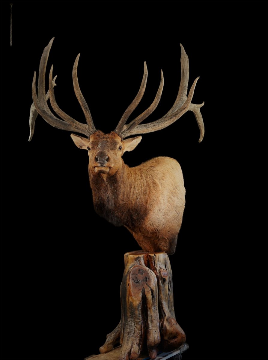 Elk Pedestal