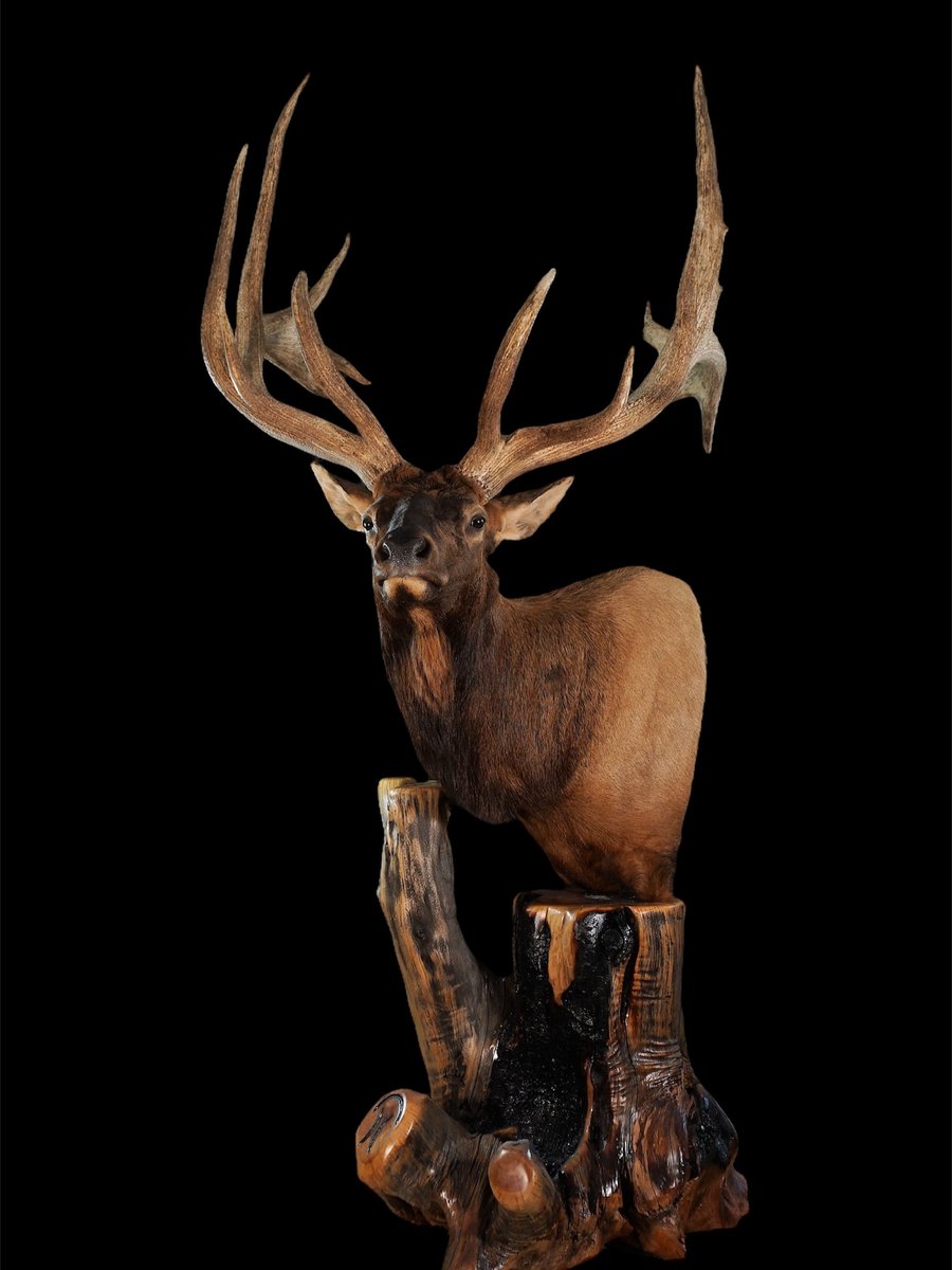 Elk Pedestal Left