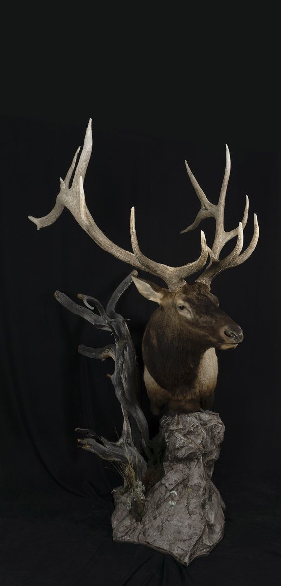 Elk Pedestal