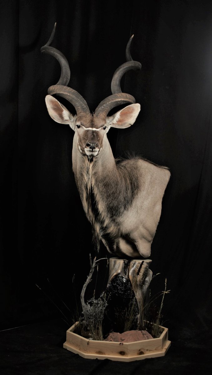 Kudu Pedestal
