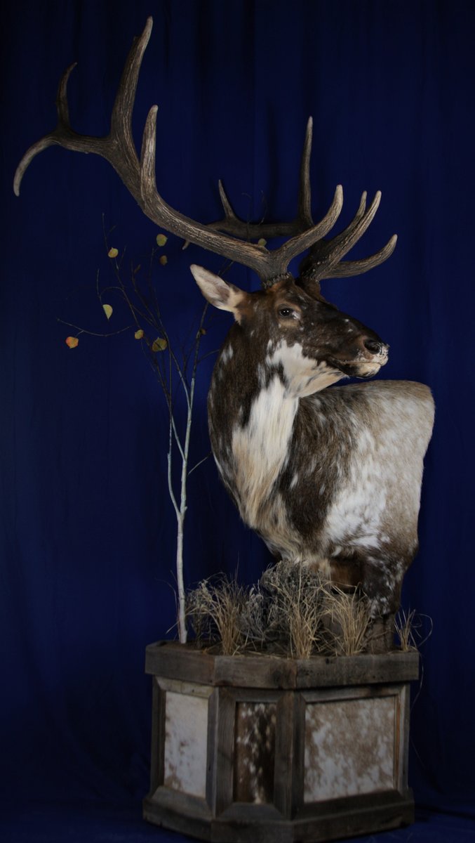 Elk Pedestal