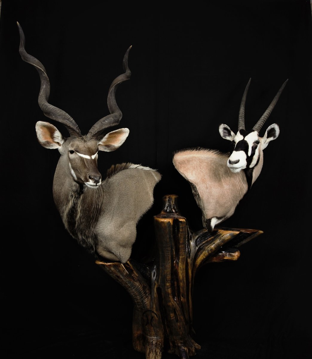 Kudu Gemsbok Pedestal