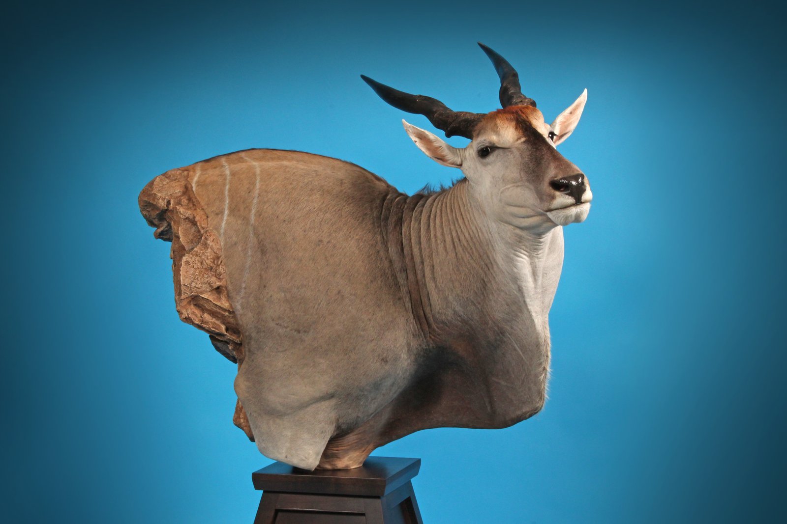 Eland Pedestal
