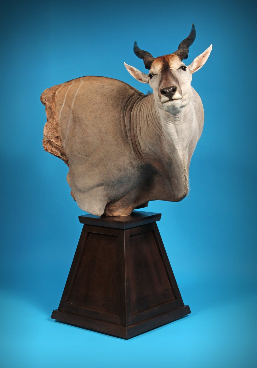 Eland Pedestal