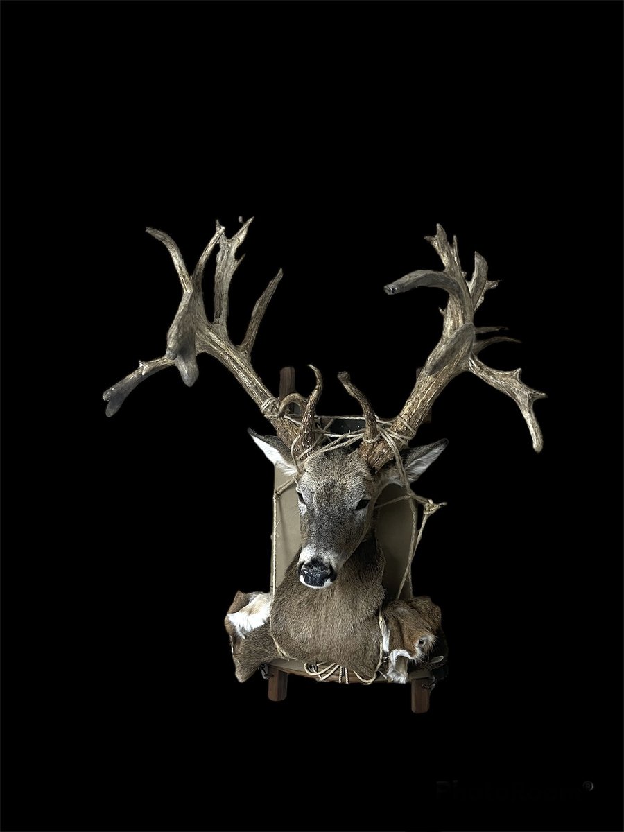 Whitetail Pack Mount