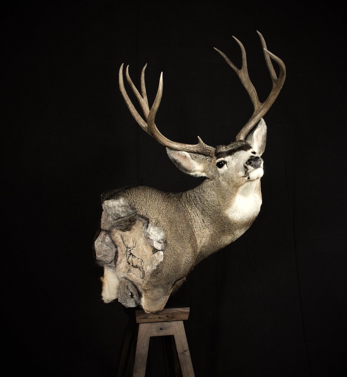 Mule Deer Pedestal