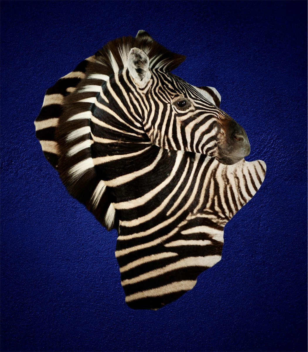 Zebra Pedestal