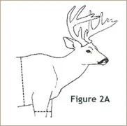 Caping for Shoulder Mount Example 1