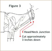Caping for Shoulder Mount Example 3
